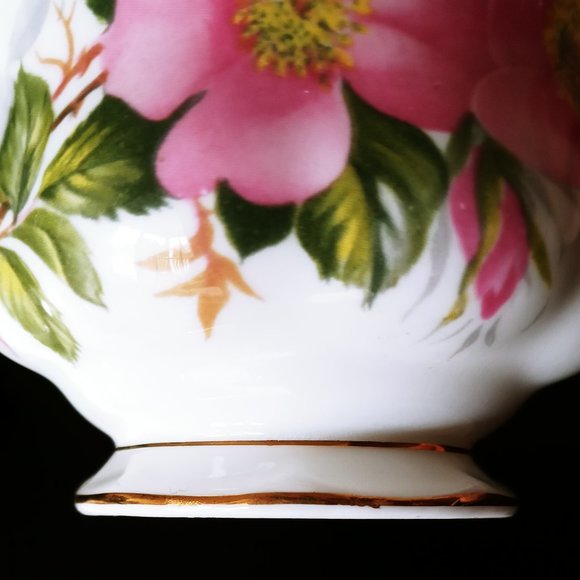 Royal Albert Bone China England Footed Tea Cup & Saucer Prairie Rose - Picture 5 of 10